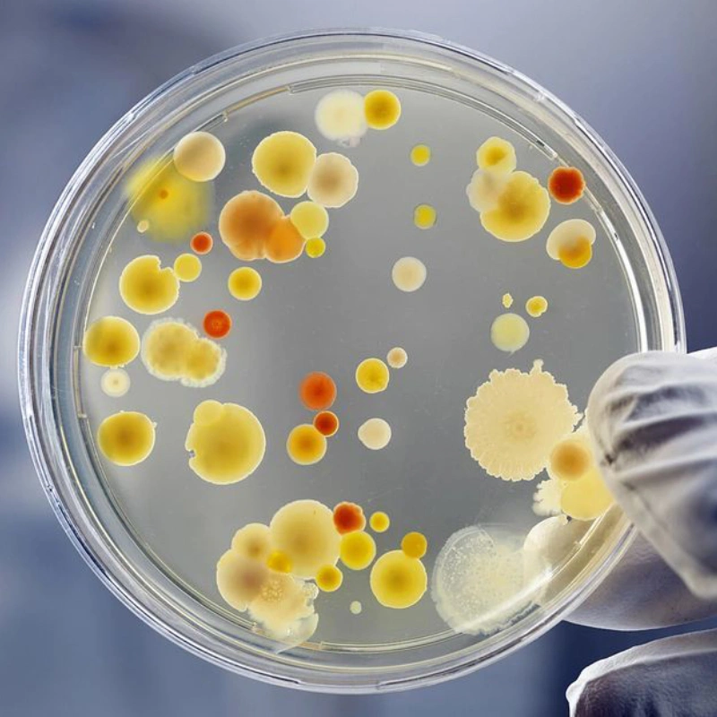 Anti-Microbial