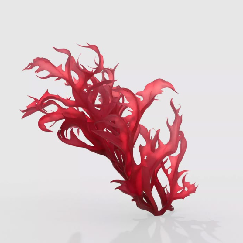 Astaxanthin