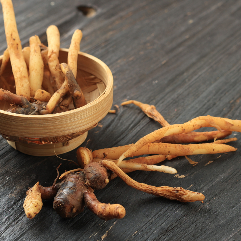 FingerRootExtract