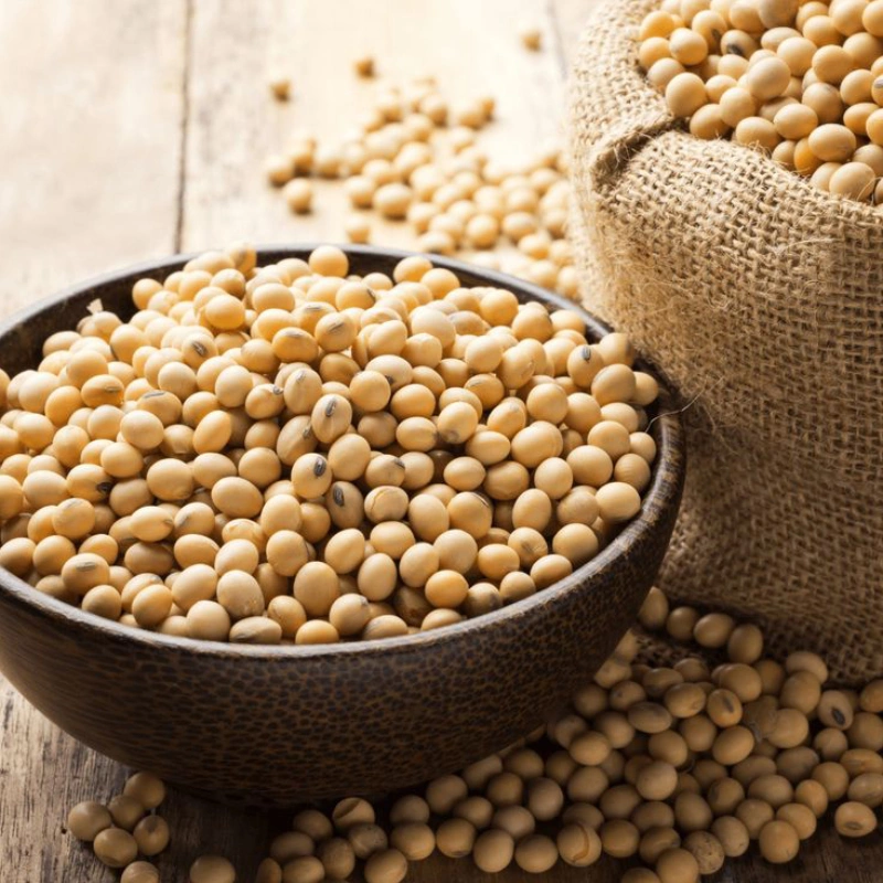 SoybeanPeptide