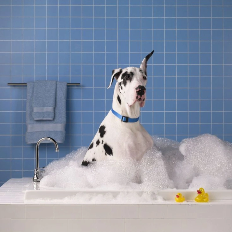 Surfactant